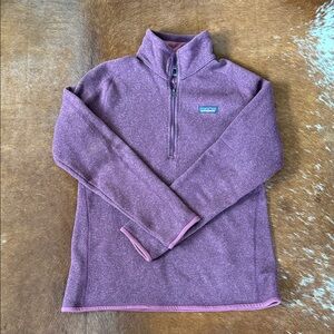 Patagonia Dark Purple Better Sweater